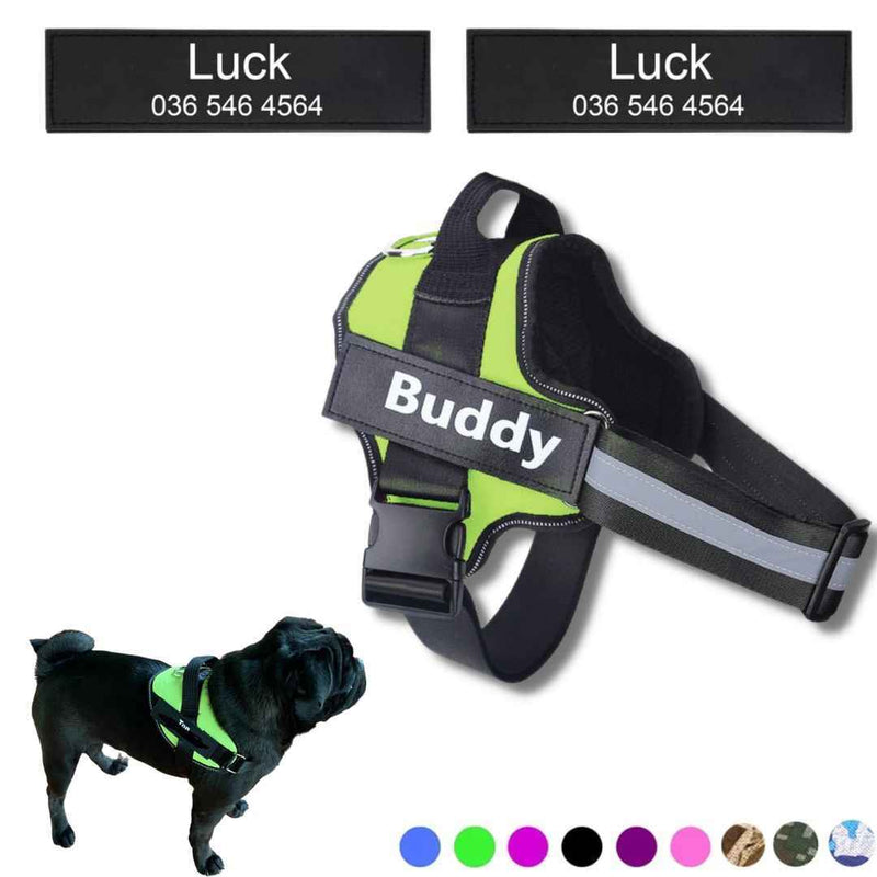 Coleira Peitoral Personalizada para Cachorros com Tags - Safe Buddy