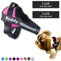 Coleira Peitoral Personalizada para Cachorros com Tags - Safe Buddy