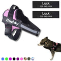 Coleira Peitoral Personalizada para Cachorros com Tags - Safe Buddy