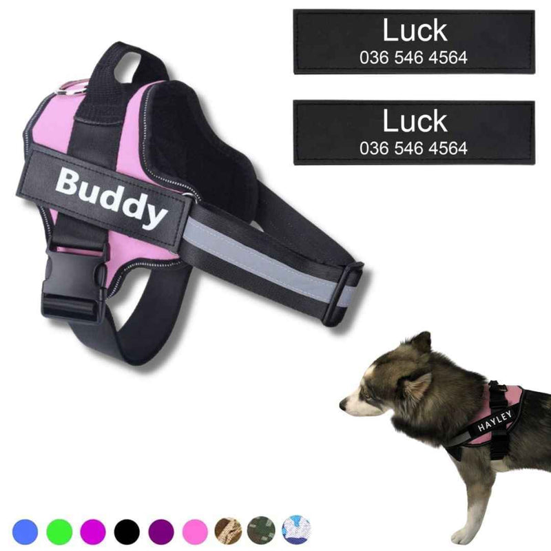 Coleira Peitoral Personalizada para Cachorros com Tags - Safe Buddy