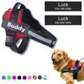 Coleira Peitoral Personalizada para Cachorros com Tags - Safe Buddy