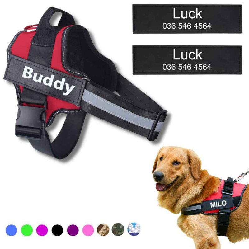 Coleira Peitoral Personalizada para Cachorros com Tags - Safe Buddy