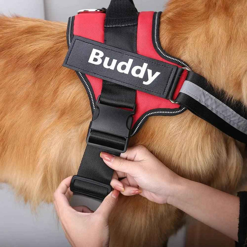 Coleira Peitoral Personalizada para Cachorros com Tags - Safe Buddy